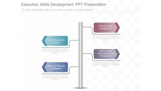 Executive_Skills_Development_Ppt_Presentation_1.jpg