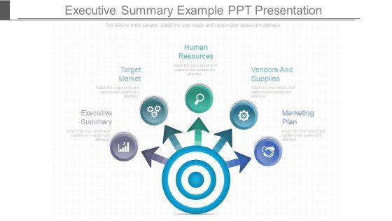 Executive_Summary_Example_Ppt_Presentation_Slide_1.jpg
