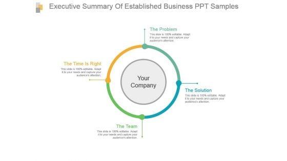 Executive_Summary_Of_Established_Business_Ppt_Samples_1.jpg