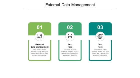 External_Data_Management_Ppt_PowerPoint_Presentation_Model_Information_Cpb_Pdf_Slide_1.jpg