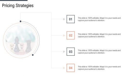 Factor_Approaches_For_Potential_Audience_Targeting_Pricing_Strategies_Sample_PDF_Slide_1.jpg