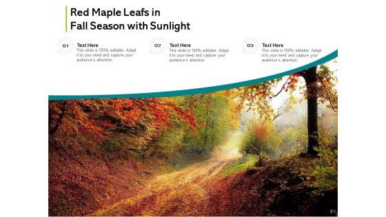 Fall_Theme_Individual_Slip_Sunlight_Ppt_PowerPoint_Presentation_Complete_Deck_Slide_9.jpg