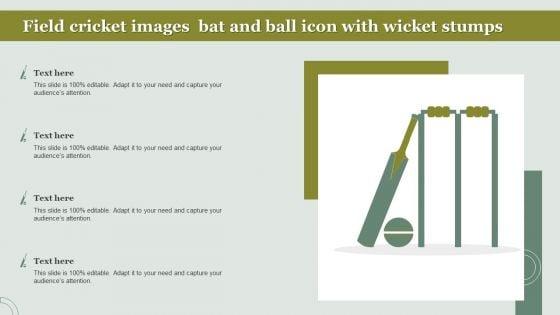 Field_Cricket_Images_Bat_And_Ball_Icon_With_Wicket_Stumps_Microsoft_PDF_Slide_1.jpg