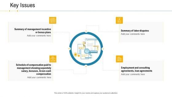 Financial_Due_Diligence_For_Business_Organization_Key_Issues_Sample_PDF_Slide_1.jpg