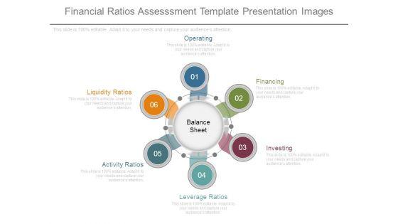 Financial_Ratios_Assesssment_Template_Presentation_Images_1.jpg