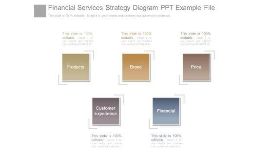 Financial_Services_Strategy_Diagram_Ppt_Example_File_1.jpg