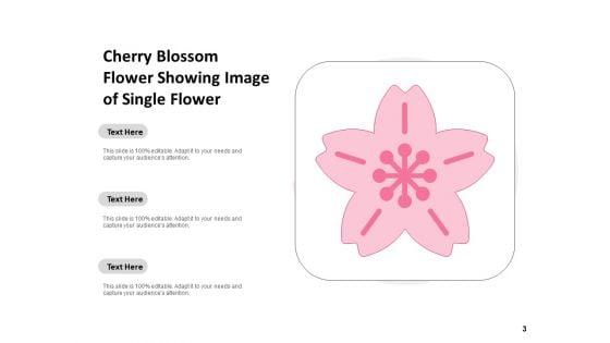 Flowering_Cherry_Bunch_Flowers_Single_Flower_Ppt_PowerPoint_Presentation_Complete_Deck_Slide_3.jpg
