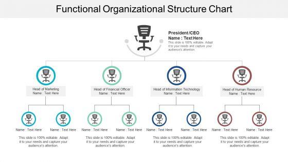 Functional_Organizational_Structure_Chart_Ppt_PowerPoint_Presentation_Pictures_Diagrams_Slide_1.jpg
