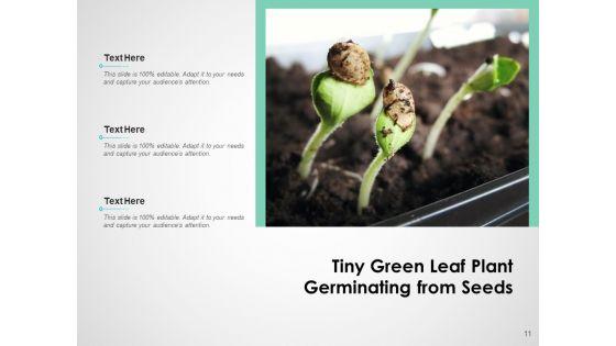 Fundraising_Scale_Plant_Growth_Ppt_PowerPoint_Presentation_Complete_Deck_Slide_11.jpg