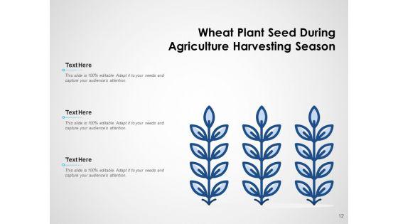 Fundraising_Scale_Plant_Growth_Ppt_PowerPoint_Presentation_Complete_Deck_Slide_12.jpg