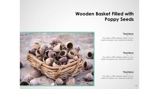 Fundraising_Scale_Plant_Growth_Ppt_PowerPoint_Presentation_Complete_Deck_Slide_13.jpg