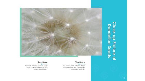 Fundraising_Scale_Plant_Growth_Ppt_PowerPoint_Presentation_Complete_Deck_Slide_3.jpg
