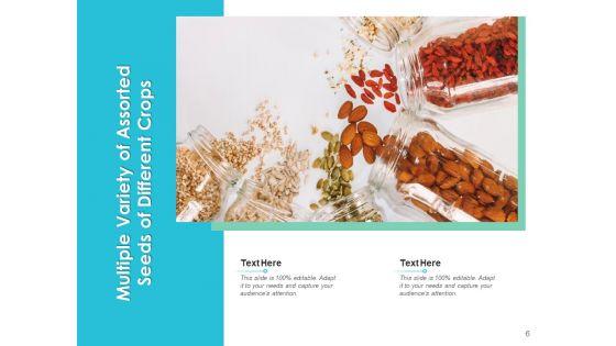 Fundraising_Scale_Plant_Growth_Ppt_PowerPoint_Presentation_Complete_Deck_Slide_6.jpg