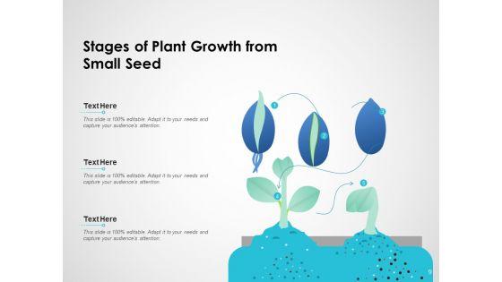 Fundraising_Scale_Plant_Growth_Ppt_PowerPoint_Presentation_Complete_Deck_Slide_9.jpg
