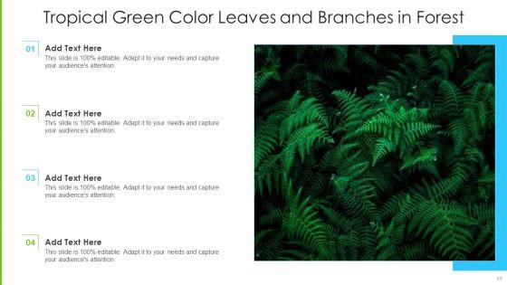 Green_Color_Ppt_PowerPoint_Presentation_Complete_Deck_With_Slides_Slide_11.jpg