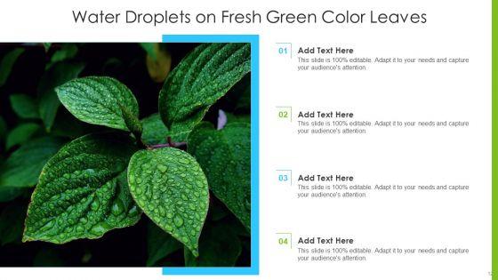 Green_Color_Ppt_PowerPoint_Presentation_Complete_Deck_With_Slides_Slide_12.jpg
