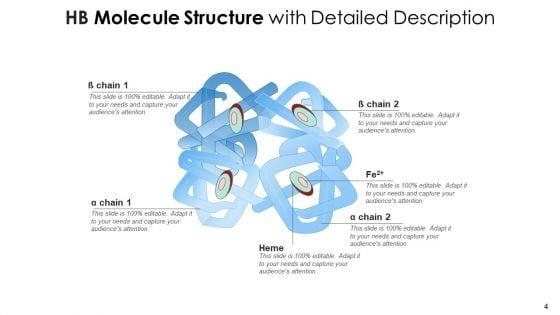 HB_Molecule_Structure_Red_Blood_Ppt_PowerPoint_Presentation_Complete_Deck_With_Slides_Slide_4.jpg