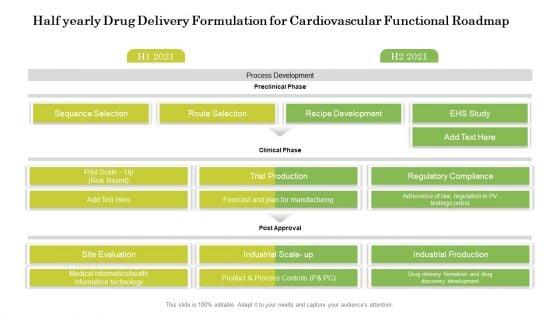 Half_Yearly_Drug_Delivery_Formulation_For_Cardiovascular_Functional_Roadmap_Designs_Slide_1.jpg