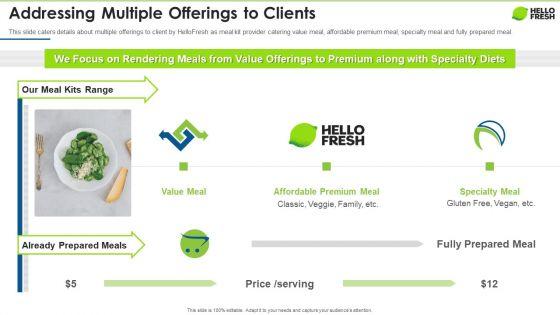 Hellofresh_Capital_Fundraising_Addressing_Multiple_Offerings_To_Clients_Brochure_PDF_Slide_1.jpg