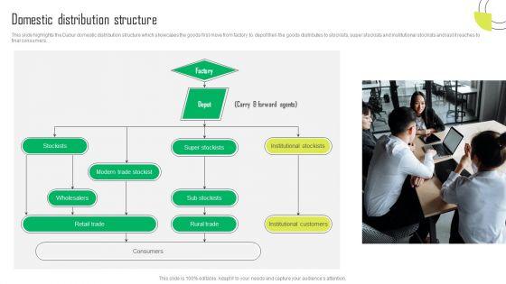 Herbal_Products_Company_Profile_Domestic_Distribution_Structure_Summary_PDF_Slide_1.jpg