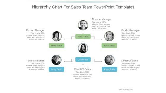 Hierarchy_Chart_For_Sales_Team_Ppt_PowerPoint_Presentation_Samples_Slide_1.jpg