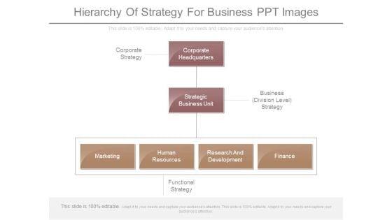 Hierarchy_Of_Strategy_For_Business_Ppt_Images_1.jpg
