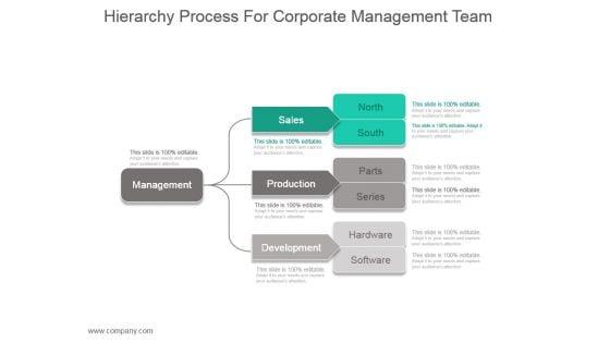 Hierarchy_Process_For_Corporate_Management_Team_Ppt_Slide_1.jpg
