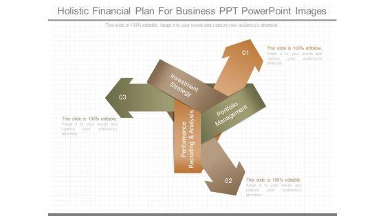 Holistic_Financial_Plan_For_Business_Ppt_Powerpoint_Images_1.jpg