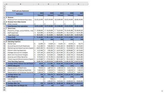 Home_Healthcare_Business_Plan_Go_To_Market_Strategy_Slide_5.jpg