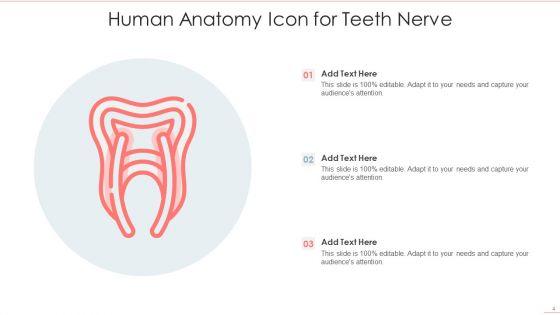 Human_Anatomy_Ppt_PowerPoint_Presentation_Complete_With_Slides_Slide_4.jpg