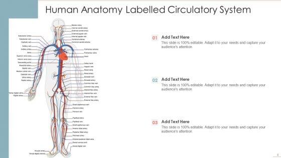 Human_Anatomy_Ppt_PowerPoint_Presentation_Complete_With_Slides_Slide_8.jpg