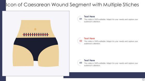 Icon_Segment_Ppt_PowerPoint_Presentation_Complete_Deck_With_Slides_Slide_5.jpg