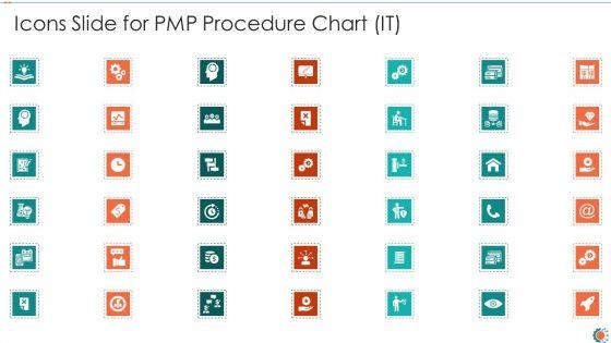 Icons_Slide_For_PMP_Procedure_Chart_IT_Ppt_Infographic_Template_Visual_Aids_PDF_Slide_1.jpg