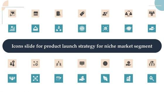 Icons_Slide_For_Product_Launch_Strategy_For_Niche_Market_Segment_Designs_PDF_Slide_1.jpg