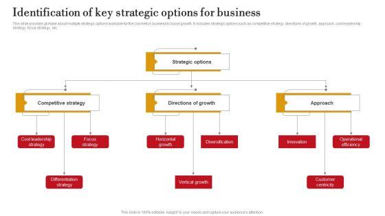 Identification_Of_Key_Strategic_Options_For_Business_Ppt_PowerPoint_Presentation_File_Icon_PDF_Slide_1.jpg