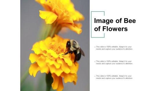 Image_Of_Bee_Of_Flowers_Ppt_PowerPoint_Presentation_Outline_Visuals_Slide_1.jpg