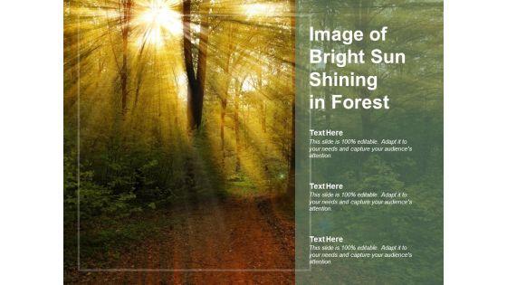 Image_Of_Bright_Sun_Shining_In_Forest_Ppt_PowerPoint_Presentation_Slides_Layout_Slide_1.jpg