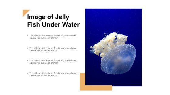 Image_Of_Jelly_Fish_Under_Water_Ppt_PowerPoint_Presentation_Layouts_Graphic_Tips_Slide_1.jpg