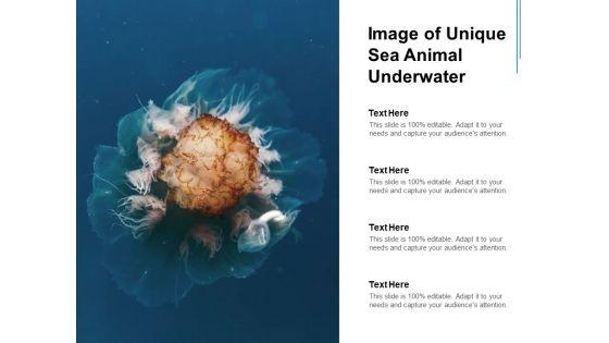 Image_Of_Unique_Sea_Animal_Underwater_Ppt_PowerPoint_Presentation_Portfolio_Clipart_Slide_1.jpg