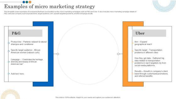 Implementing_Marketing_Strategies_Examples_Of_Micro_Marketing_Strategy_Download_PDF_Slide_1.jpg