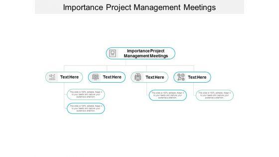 Importance_Project_Management_Meetings_Ppt_PowerPoint_Presentation_Ideas_Outfit_Cpb_Slide_1.jpg