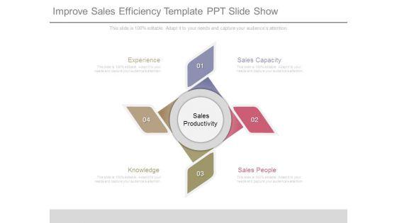 Improve_Sales_Efficiency_Template_Ppt_Slide_Show_1.jpg
