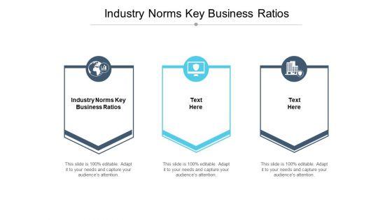 Industry_Norms_Key_Business_Ratios_Ppt_PowerPoint_Presentation_Styles_Ideas_Cpb_Slide_1.jpg