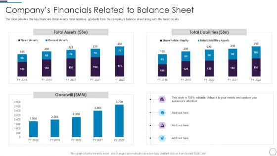 Information_Technology_Firm_Report_Example_Companys_Financials_Related_To_Balance_Sheet_Professional_PDF_Slide_1.jpg