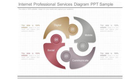 Internet_Professional_Services_Diagram_Ppt_Sample_1.jpg