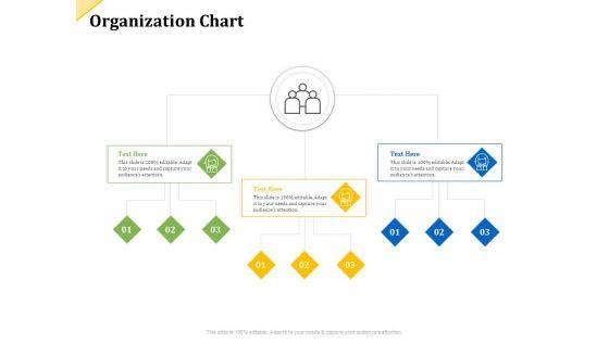 Investor_Presentation_For_Raising_Capital_From_Product_Sponsorship_Organization_Chart_Graphics_PDF_Slide_1.jpg