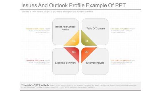 Issues_And_Outlook_Profile_Example_Of_Ppt_1.jpg