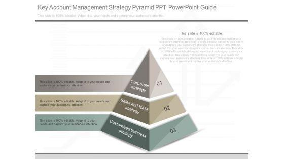Key_Account_Management_Strategy_Pyramid_Ppt_Powerpoint_Guide_1.jpg