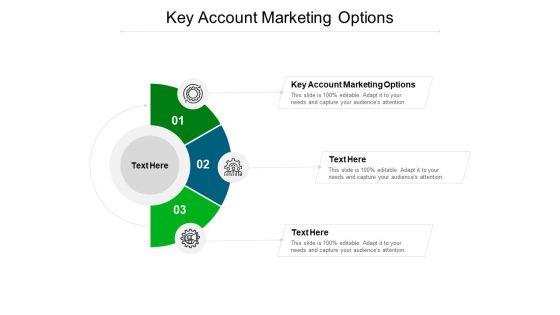 Key_Account_Marketing_Options_Ppt_PowerPoint_Presentation_Layouts_Icons_Cpb_Pdf_Slide_1.jpg