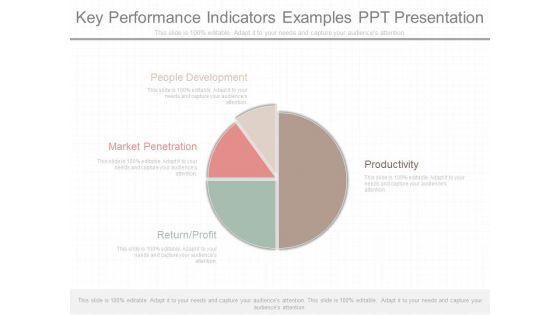Key_Performance_Indicators_Examples_Ppt_Presentation_1.jpg